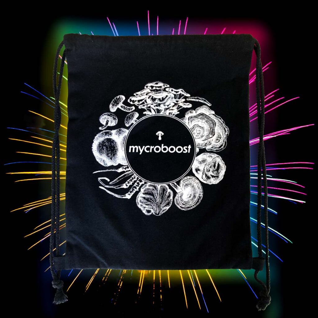 mycroboost drawstring bag front